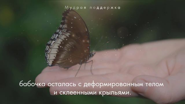 МУДРАЯ ПРИТЧА | Не навреди | Притча о жизни