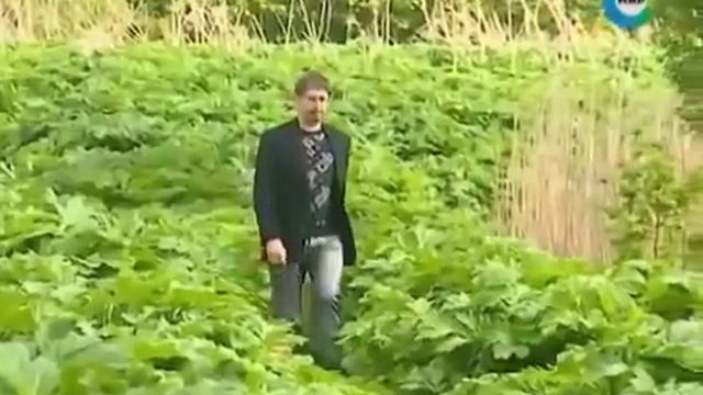 Ефимов В А Тайны Пушкина А С Лукоморья больше нет смотреть онлайн