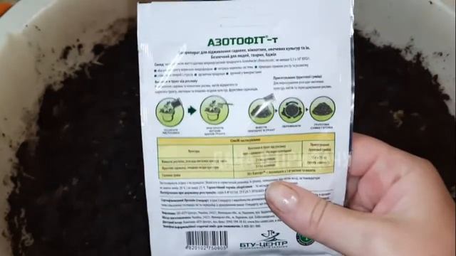 4 простых шага, как я восстанавливаю плодородие почвы после сбора урожая. Мой огород на балконе.