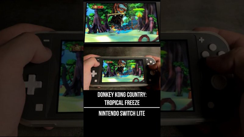 Donkey Kong Country: Tropical Freeze Nintendo Switch Lite Gameplay #nintendoswitchlitegameplay