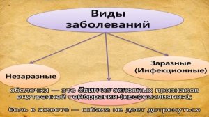Черный кал у собаки: причины