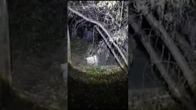 Вот так встреча! смотреть онлайн