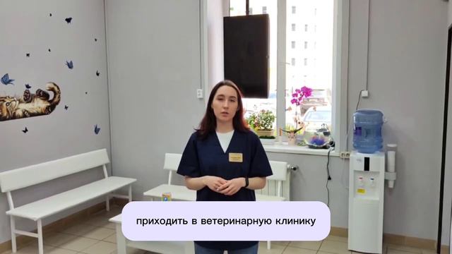 Зачем кастрировать и стерилизовать животных - ответы на вопросы от ветклиники Добрый Доктор смотреть онлайн