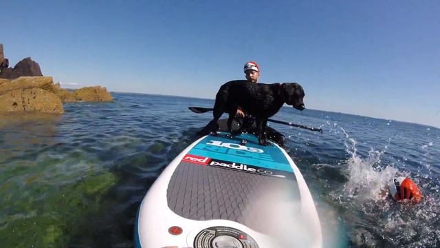 Labrador SUP смотреть онлайн