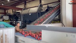 Линия мойки и сортировки картофеля Allround Vegetable Processing