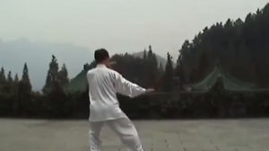 8 форм тайцзи стиль Ян, Мастер Ван Лин 2