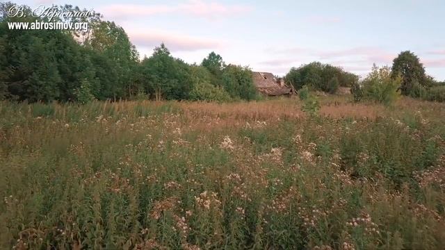 ? ОН ПЕЛ- А ВСЕ ПЛАКАЛИ -Скажи председатель-.mp4 смотреть онлайн