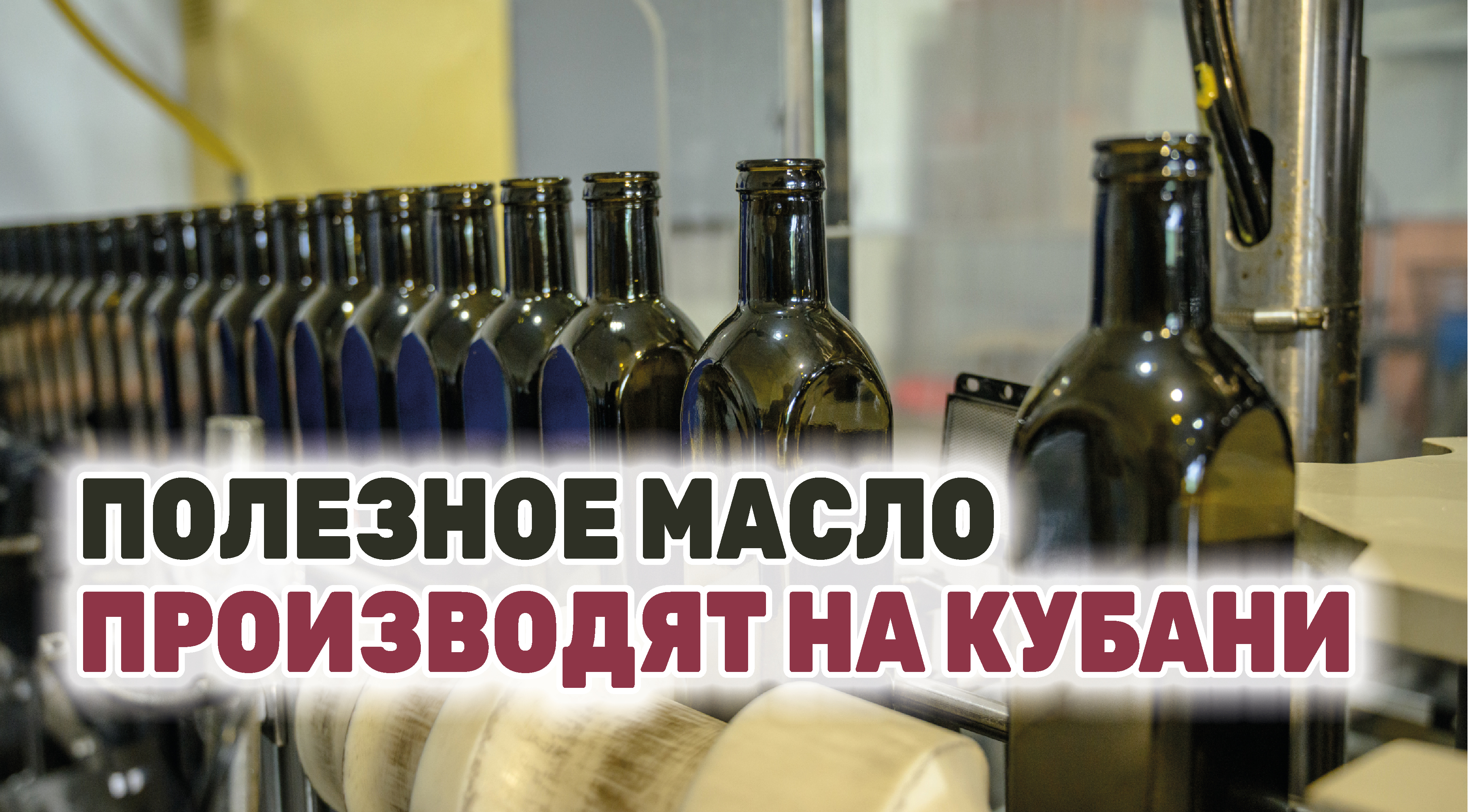 В Брюховецком районе наладили уникальное для России производство