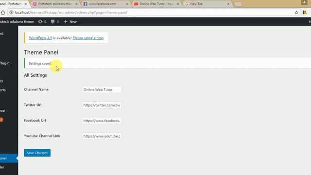 Wordpress Theme Options Development (Part 1) Introduction of Theme Options in Wordpress