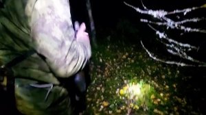 ОХОТА НА БАРСУКА С ЛАЙКОЙ/РАБОТА "БАРСА" и "ШКОДЫ" ПО БАРСУКУ