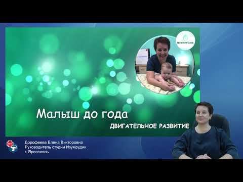 Малыш до года.  Двигательное развитие.  Руководитель студии  