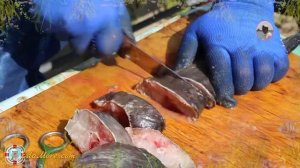 Рецепты из сома - Часть1. Маринованный сом в майонезе видео и фото от Petr de Cril’on & SonyKpK