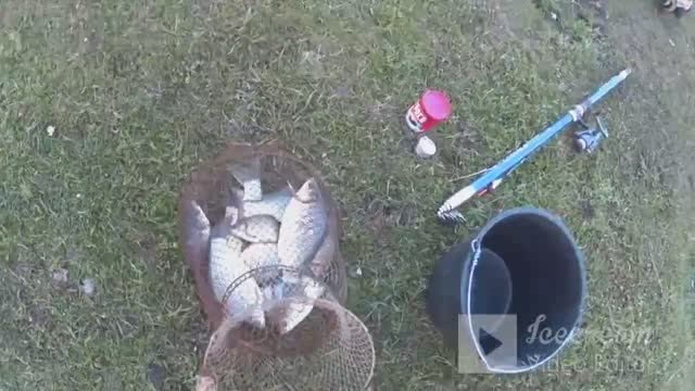 Ловля карася на донку... смотреть онлайн