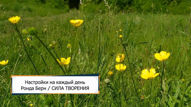 Настройки на каждый день / Сила Творения / Ронда Берн