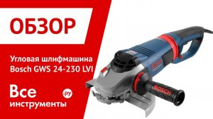 Угловая шлифмашина Bosch GWS 24-230 LVI Professional