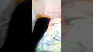 Сестра застряла между краватю и стенкой