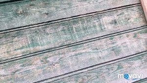 Электрический краскопульт,покраска дачи