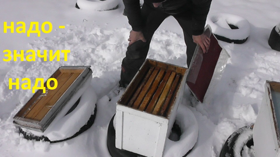 Сейчас может быть обидно вдвойне смотреть онлайн