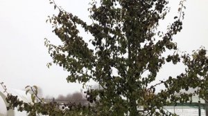 Таня. Путешествие в Андреаполь. октябрь 2023