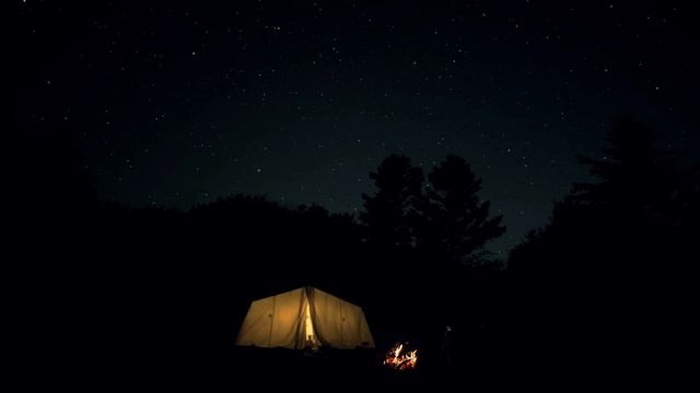Музыка для сна | Летняя ночь | Пение цикад | Треск костра смотреть онлайн