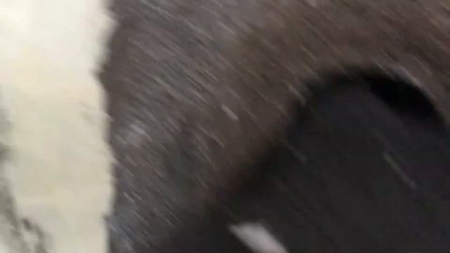 Замена подшипников стиральной машины Самсунг смотреть онлайн