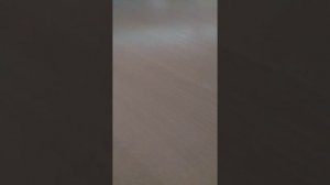 Этот мир придуман не нами кавер