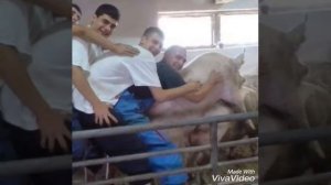 Почему у новорожденного выросла щетинка?