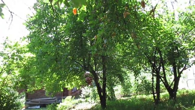 Сердечко... смотреть онлайн