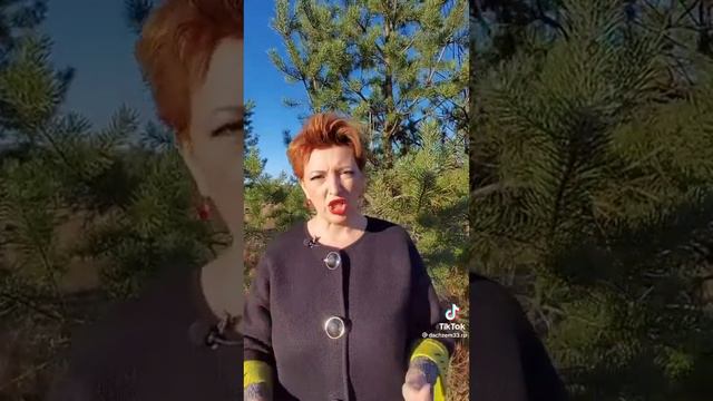 запрет на отчуждение