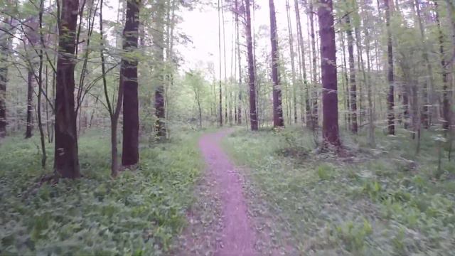 Утренняя пробежка 28 мая 2018 смотреть онлайн