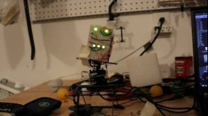 python-robot-head-development.mpeg