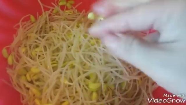 Салат из проросших бобов /Тиргумча/ смотреть онлайн