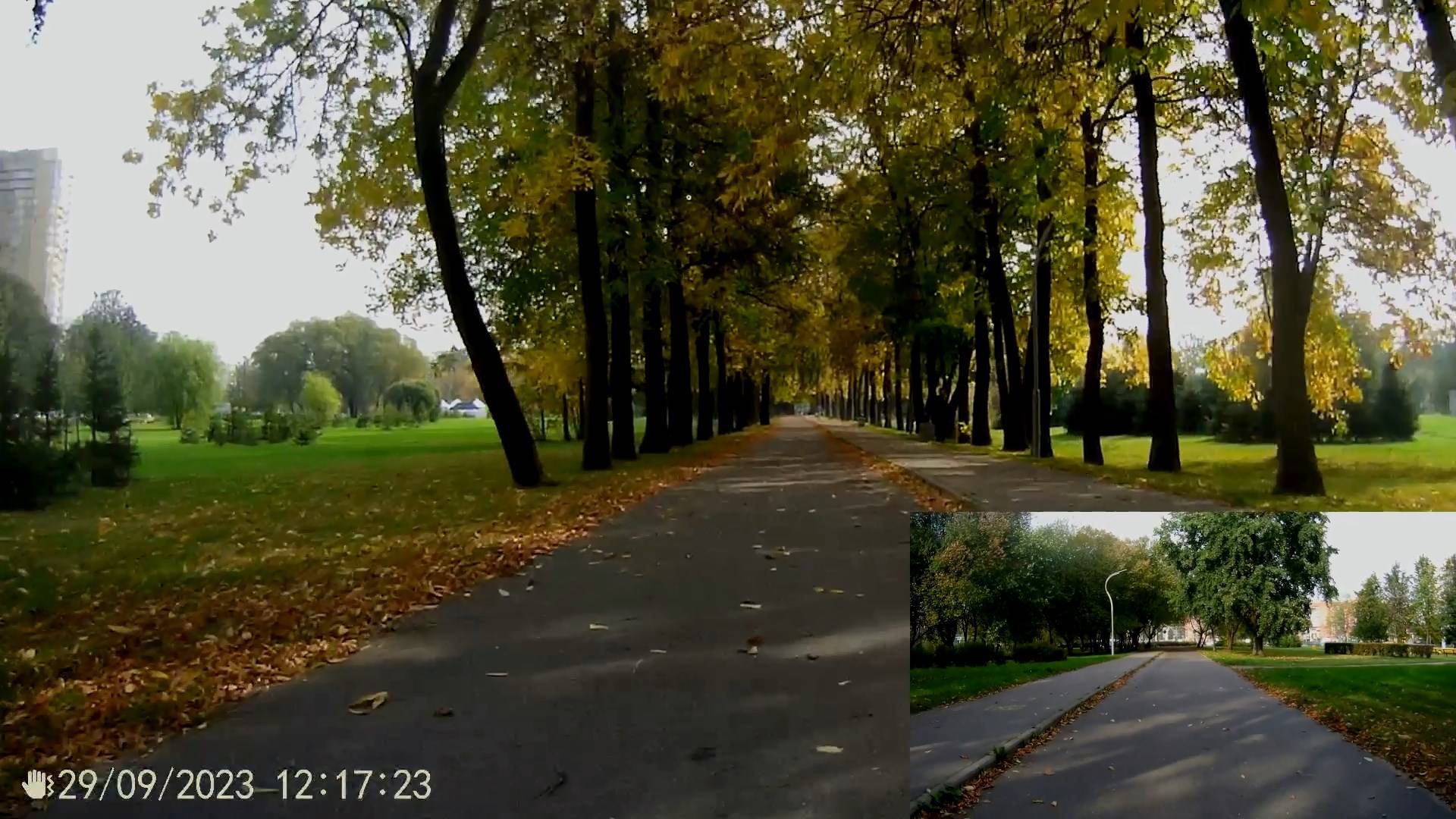 Велодорожка в Муринском парке