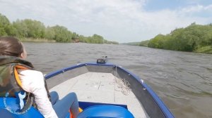 Лодка windboat 45 evo fish