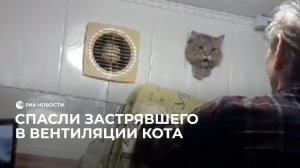 Спасли застрявшего в вентиляции кота
