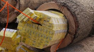 9 Самых Гениальных Контрабандистов в Истории