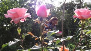 Седагет Керимова. Зи багъ – зи рикI. Лезги фильм. 2022.