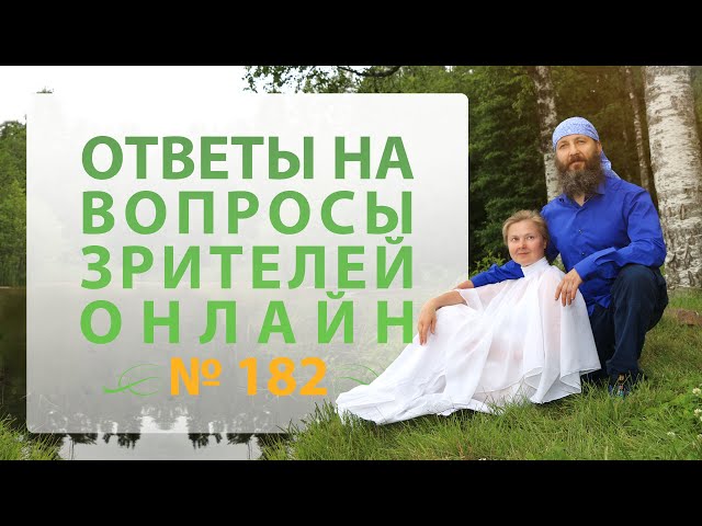 Онлайн Встреча №182