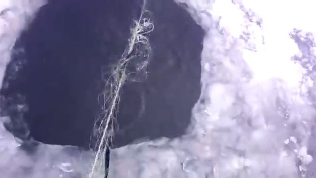 Ловим ленка на реке Бира / Открытие зимнего сезона смотреть онлайн