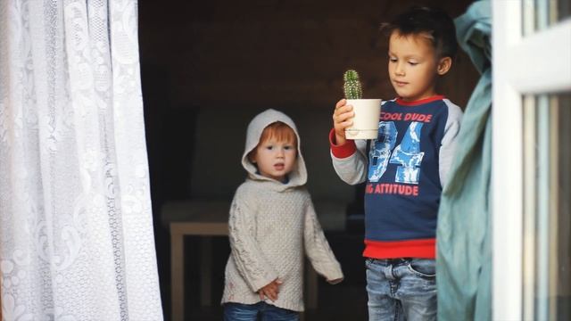 24 08 19 Осельки смотреть онлайн