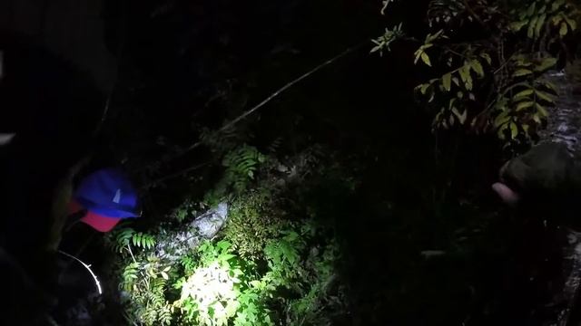 20170730RusinovAL Kinolog2 смотреть онлайн