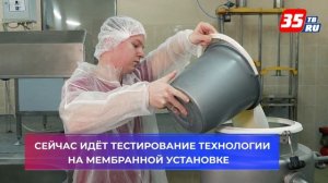 Технологию производства безлактозного молока разрабатывают учёные Вологодской ГМХА