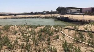 Дикий ? Пляж где снималась сцена из фильма Бриллиантовая Рука с Мироновым