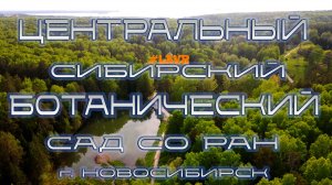 ЦЕНТРАЛЬНЫЙ СИБИРСКИЙ БОТАНИЧЕСКИЙ САД СО РАН | НОВОСИБИРСК | БОТСАД | АКАДЕМГОРОДОК | #новосибирск