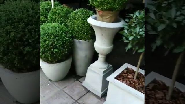 Вазы бетонные смотреть онлайн