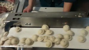 Пельменный аппарат СД-250