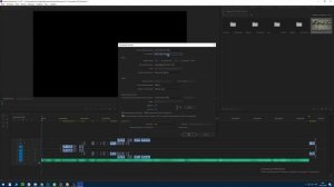 Pluraleyes 3.5 + EDIUS /СИНХРОНИЗАЦИЯ ПО ЗВУКУ.