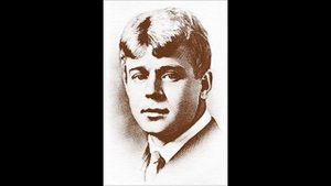 Сергей Есенин "Мелколесье, степь и дали"