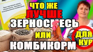 Так что же лучше для кур ЗЕРНОСМЕСЬ или КОМБИКОРМ. Как получить полезное и вкусное мясо и яйцо.