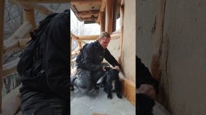 Что такое недоуздок для собаки...Для чего он нужен и как правильно его закрепить...